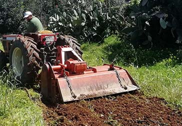 heliostasi-douliana-restaurant-30a-1 gardening1